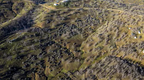 Yolla Bolly Rd., Igo, CA 96047 photo 5