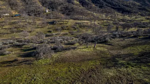 Yolla Bolly Rd., Igo, CA 96047 photo 9