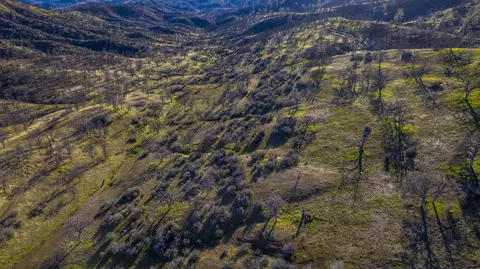 Yolla Bolly Rd., Igo, CA 96047 photo 7
