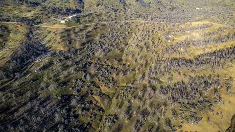 Yolla Bolly Rd., Igo, CA 96047 photo 6