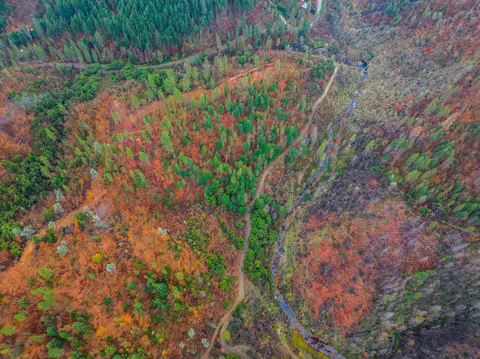 000 Old Mill Rd, Lakehead, CA 96051