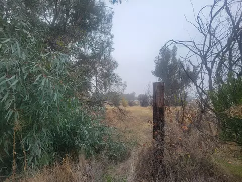 17345 Rancho Tehama Rd, Corning, CA 96021 photo 1