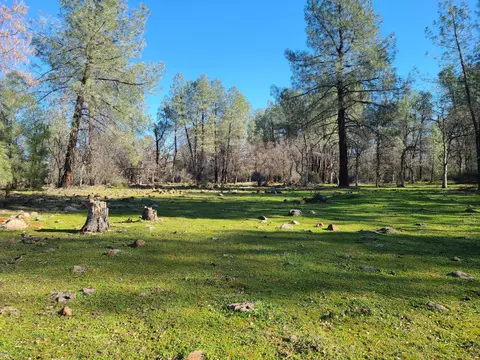 80 Acres Buffalo Dr, Anderson, CA 96007
