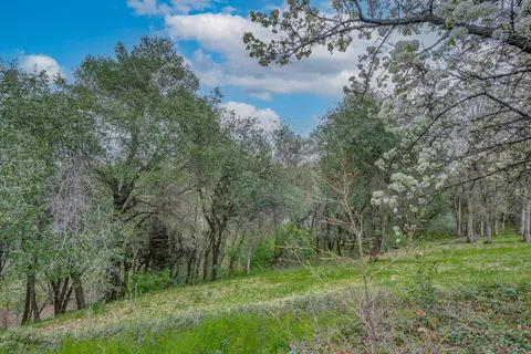 1205 Golden Gate Trl, Redding, CA 96003 photo 33