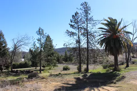 15204 Walker Ter, Shasta, CA 96087 photo 19
