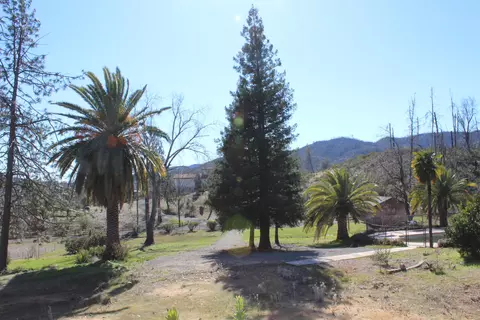 15204 Walker Ter, Shasta, CA 96087 photo 18