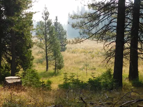 Lot #5 Antone Rd, Shingletown, CA 96088