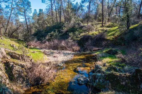 16334 Trail Dr, Redding, CA 96001 photo 15