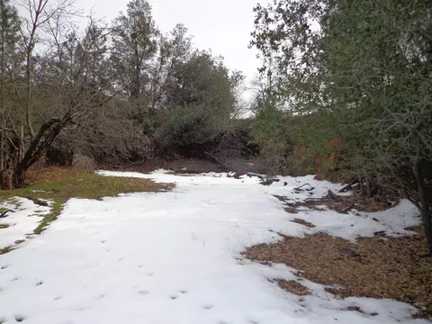 22110 Loop, Redding, CA 96003 photo 9