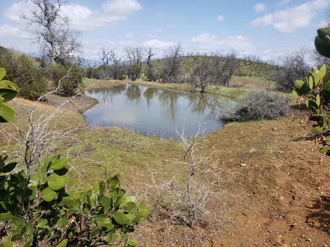 Vestal Rd, Red Bluff, CA 96080 photo 29
