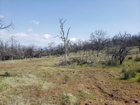Vestal Rd, Red Bluff, CA 96080 photo 22