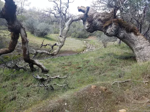 Vestal Rd, Red Bluff, CA 96080 photo 15