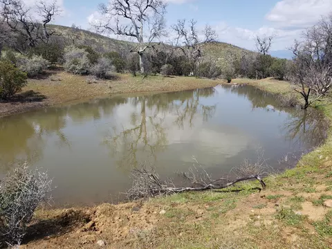 Vestal Rd, Red Bluff, CA 96080 photo 30