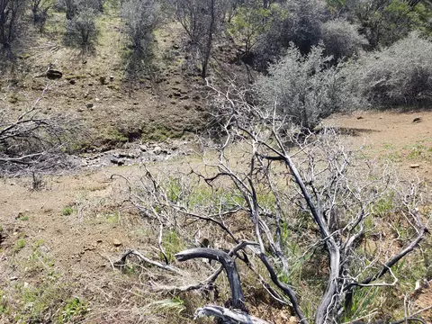 Vestal Rd, Red Bluff, CA 96080 photo 17