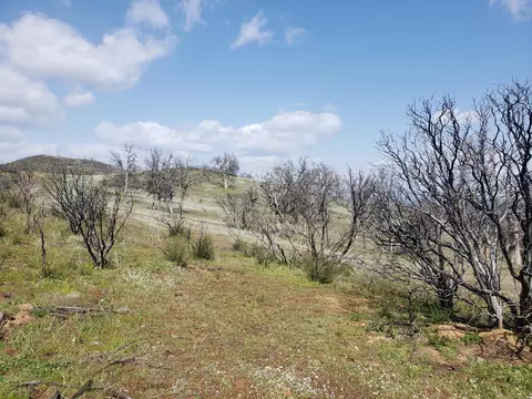 Vestal Rd, Red Bluff, CA 96080 photo 23