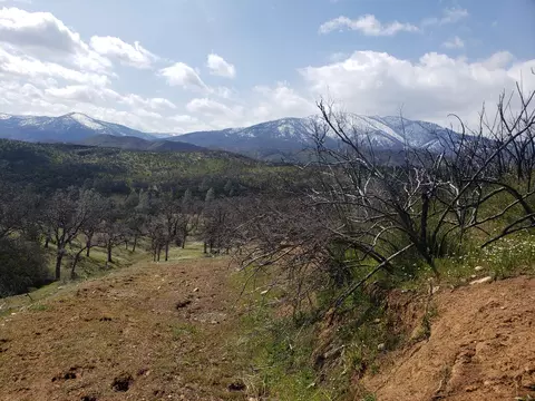 Vestal Rd, Red Bluff, CA 96080 photo 12