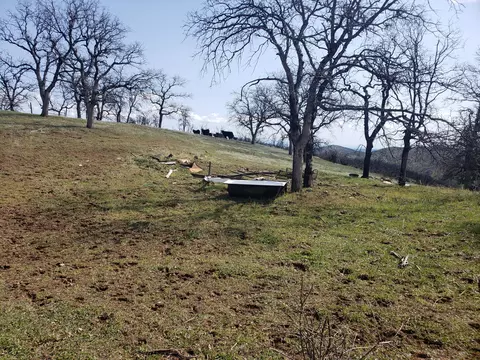 Vestal Rd, Red Bluff, CA 96080 photo 8
