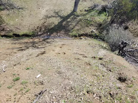 Vestal Rd, Red Bluff, CA 96080 photo 16