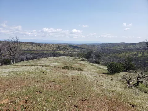 Vestal Rd, Red Bluff, CA 96080 photo 24