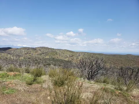 Vestal Rd, Red Bluff, CA 96080 photo 21