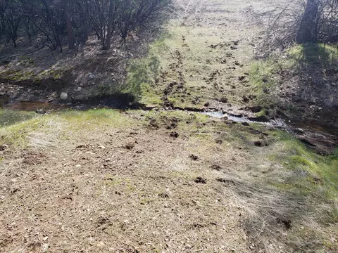 Vestal Rd, Red Bluff, CA 96080 photo 13