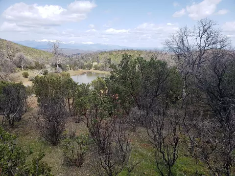 Vestal Rd, Red Bluff, CA 96080 photo 27