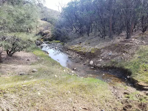 Vestal Rd, Red Bluff, CA 96080 photo 14