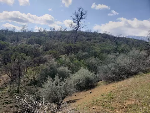 Vestal Rd, Red Bluff, CA 96080 photo 18