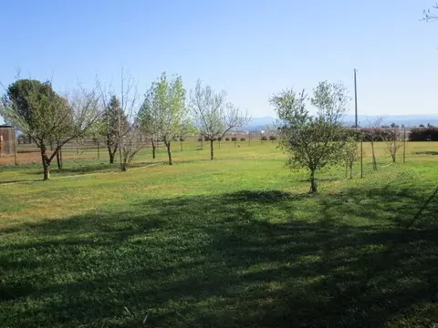 12265 Paskenta Rd, Red Bluff, CA 96080 photo 28