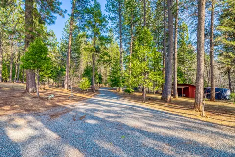 8166 Doodlebug, Shingletown, CA 96088 photo 7