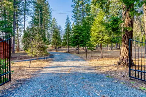 8166 Doodlebug, Shingletown, CA 96088 photo 1