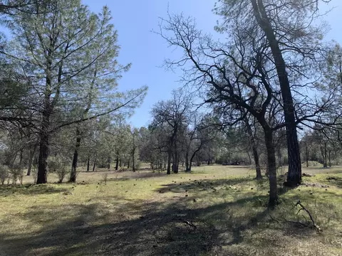 Buffalo, Anderson, CA 96007 photo 3