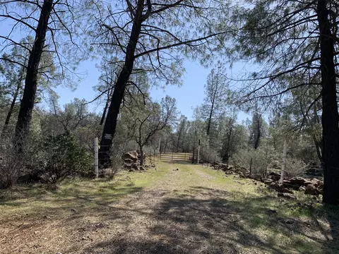 Buffalo, Anderson, CA 96007