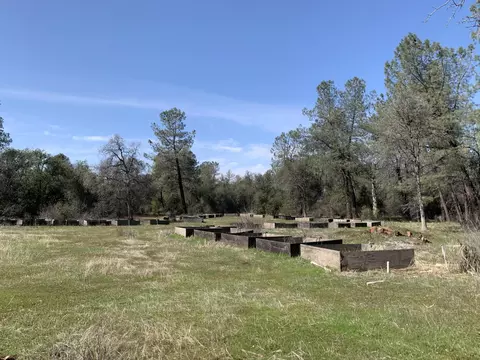 Buffalo, Anderson, CA 96007 photo 6