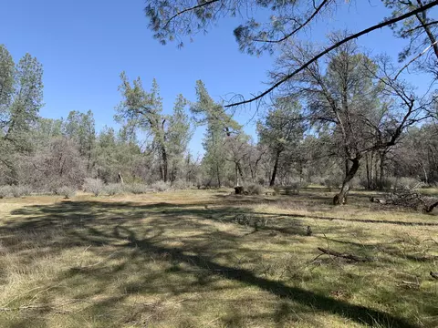 Buffalo, Anderson, CA 96007 photo 4