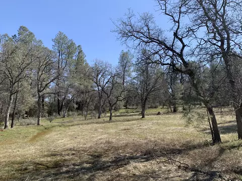 Buffalo, Anderson, CA 96007 photo 7