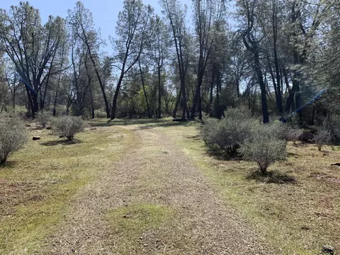 Buffalo, Anderson, CA 96007 photo 2