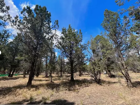 000 Goose Loop, Alturas, CA 96101 photo 13
