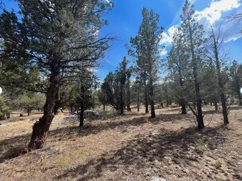 000 Goose Loop, Alturas, CA 96101 photo 7