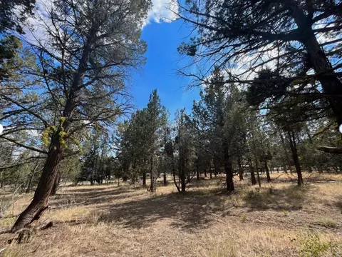 000 Goose Loop, Alturas, CA 96101 photo 2
