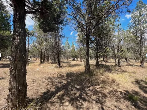 000 Goose Loop, Alturas, CA 96101 photo 14