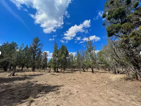 000 Goose Loop, Alturas, CA 96101 photo 9