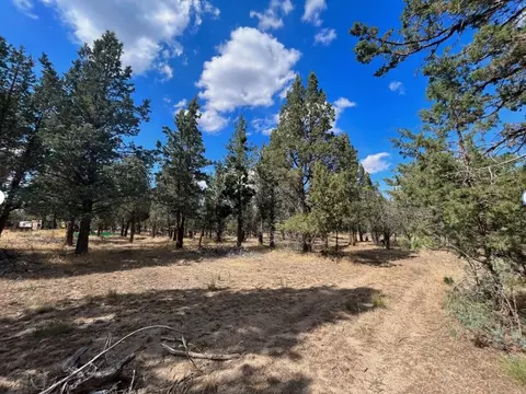 000 Goose Loop, Alturas, CA 96101 photo 3