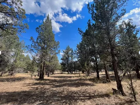 000 Goose Loop, Alturas, CA 96101 photo 5