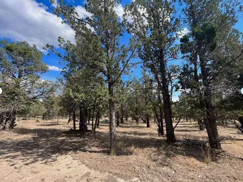 000 Goose Loop, Alturas, CA 96101 photo 8