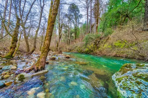 View/Area - 22217 Saylor Rd, Lakehead, CA 96051 photo 9 of 9