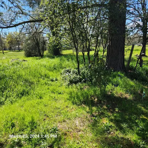 20145 Penrod Way, Redding, CA 96002 photo 12