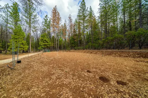 View/Area - 6880 Samiret Ln, Shingletown, CA 96088 photo 5 of 12
