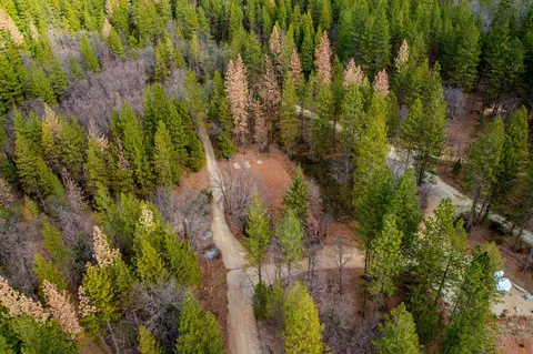 View/Area - 6880 Samiret Ln, Shingletown, CA 96088 photo 8 of 12