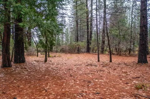 State Hwy 44, Shingletown, CA 96088